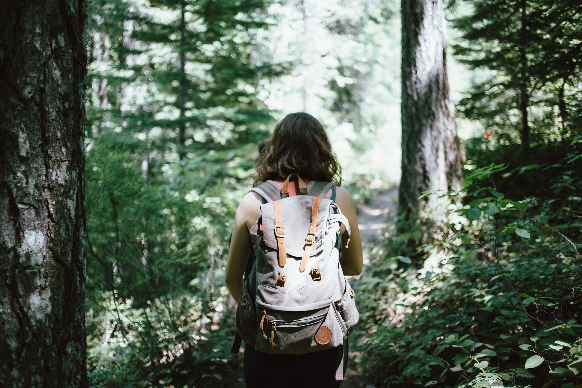 Camminare nel bosco fa bene